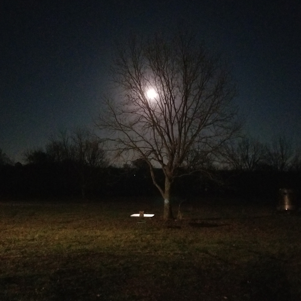 Meet your Posher, Owen